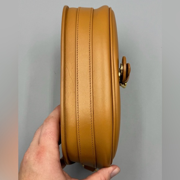 Christian Dior Bobby Smooth Leather Saddle with Strap - Picture 9 of 14